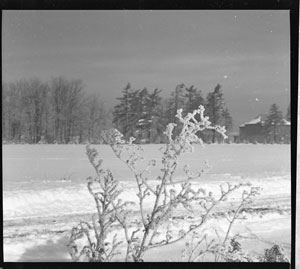 Winter Scene - January 15, 1939